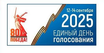 Выборы 2025