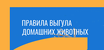Правила выгула домашних животных